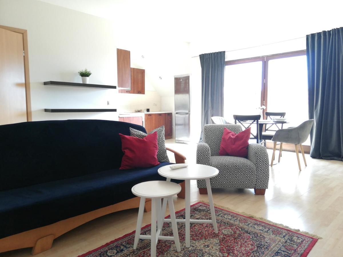 Apartament Na Deptaku W Lecznej Leczna エクステリア 写真